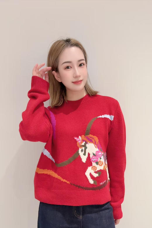 1224-1 极限特惠 ER新年系列 旋转木马提花 羊毛羊绒 圆领套头毛衣 商品图0