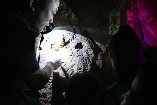 1.2【地心探险】探索亿万年地下洞穴，两个岩溶洞穴，揭开喀斯特之谜，做一回“地心探险者”！开启一场奇妙的洞穴探索之旅！ 商品图4