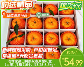老林家高山树熟永春芦柑礼盒（大果）/1箱（16个，共3.25-3.5kg）