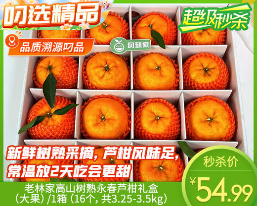 老林家高山树熟永春芦柑礼盒（大果）/1箱（16个，共3.25-3.5kg） 商品图0