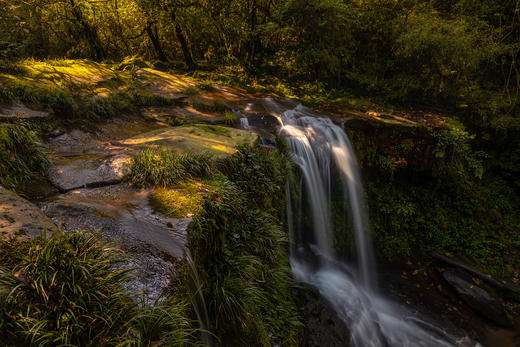 寒假2.22❗️【大王叫我来巡山】雅安大熊猫国家公园3天2夜独立营：权威基地背书；大熊猫栖息地小小巡护员；一线巡护员+自然导师；生物地理环保跨学科知识；冬季限定玩雪；解锁多项专业技能 商品图3