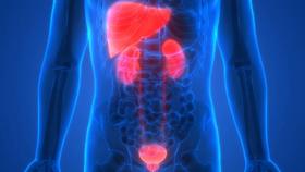 肝肾不好，全身衰老！可能引发跨器官病变