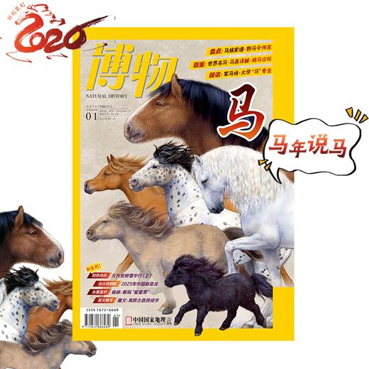 《博物》202601   马年说马 马家“八骏”  含马专题拉页 商品图1