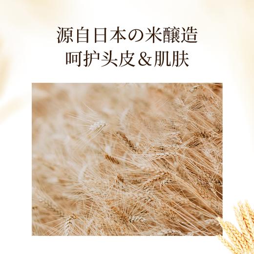 浅香米酿氨基酸洗发乳(丰盈型）+浅香米酿氨基酸沐浴露套装500g+500g 商品图2