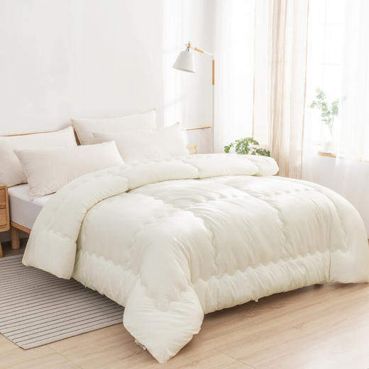 美穗吉家 磨毛纤维四季被（白色）3.9斤 商品图8