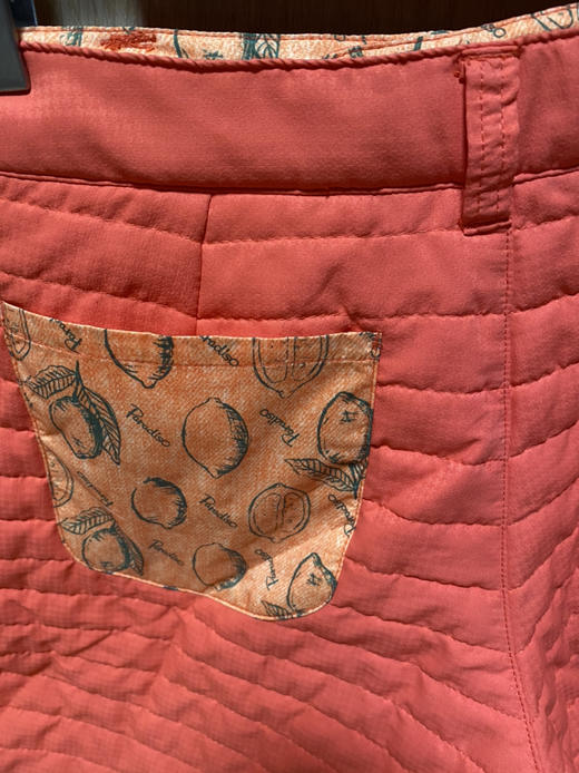 全新外贸正品女士普利司通加棉短裤X L码只要68元 商品图4