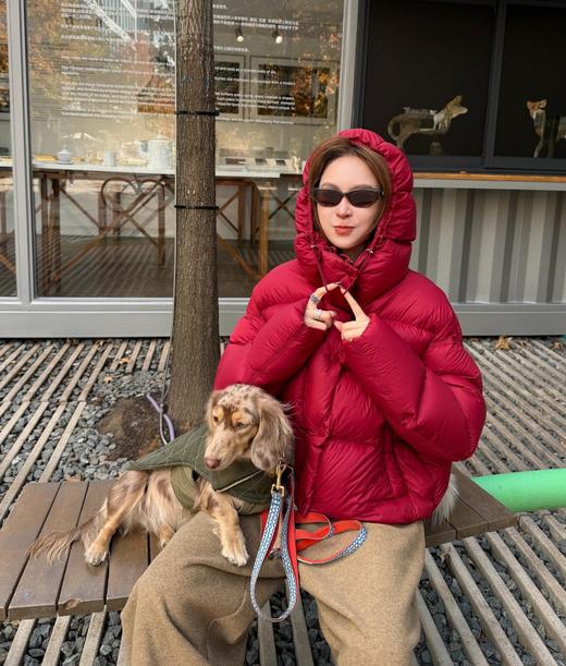 今年冬天人气蕞高舒芙蕾·泡芙羽绒服 商品图10