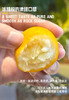 【觅趣小铺·匠心极-金桔】冰糖脆皮橘！皮薄肉嫩多汁带糖心，纯甜不酸涩～ 商品缩略图0