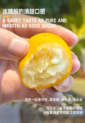【觅趣小铺·匠心极-金桔】冰糖脆皮橘！皮薄肉嫩多汁带糖心，纯甜不酸涩～