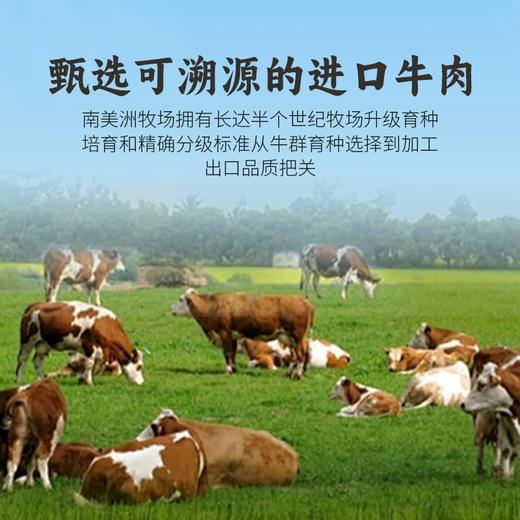 喜辉七星牛肉丸/牛筋丸120g/袋，93%牛肉含量，新西兰+云贵散养水牛，正宗“潮”味！ 商品图4