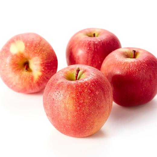 中粮安萃新疆阿克苏红富士苹果2.5kg9粒装（单果直径85-88mm）【分仓直发，72小时发货，周末节假日不发货】 商品图3