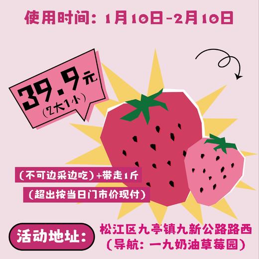 上海｜39.9元带走1斤！冬日限定，快来感受这家草莓园里的甜蜜暴击！ 商品图1