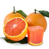 湖北  中华红橙  多规格任选 商品缩略图4