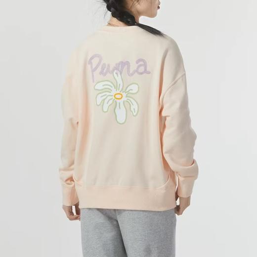 彪马运动卫衣179.90（线上线下同步销售，不一定有货，介意勿拍）574637-GY 商品图1