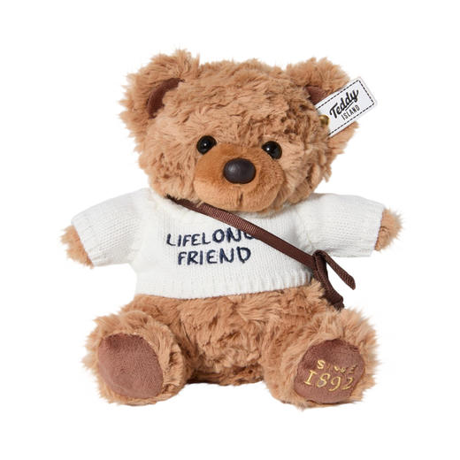 KIDSROYAL 萌趣摇摆泰迪熊 JM-250802 商品图12