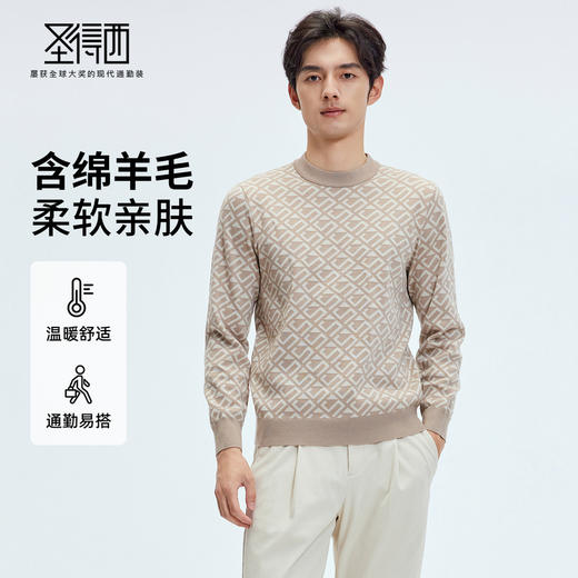 【门店同款&含绵羊毛】圣得西男款2025年冬季毛衫圆领休闲针织衫 商品图0