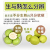 【直播同款】广东当季红白双拼芭乐3/4.5斤（单果约150g+）现摘整箱热带水果包邮 4月中旬下线 商品缩略图2