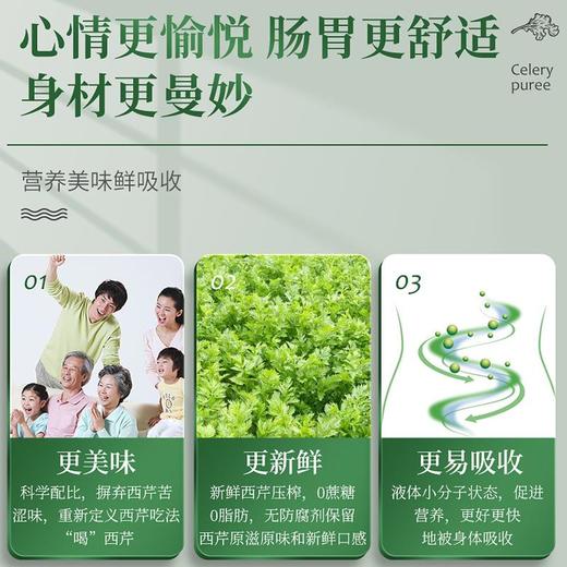 益鲜浓 NFC西芹原浆 纯果蔬汁 鲜榨西芹原汁 无蔗糖 商品图3