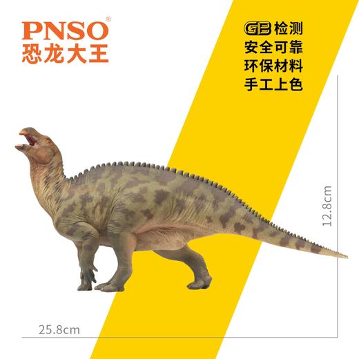 PNSO兰州龙兰奇恐龙大王成长陪伴模型97 商品图2