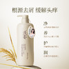浅香米酿头皮护理洗发乳（去屑型）-净爽500g 商品缩略图3