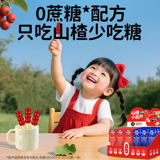 妙伯乐山楂糖葫芦(蓝莓味)10g 商品图1
