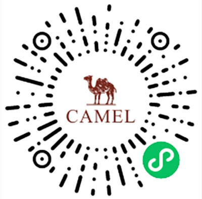 CAMEL骆驼