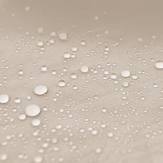 外交官 手抛船帐L-东方暖茶DFJ-118L 商品图7