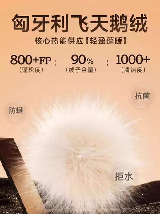 奇动童装【校服神器】女童轻薄鹅绒服2025新款春秋儿童羽绒服内胆DER24520 商品图2