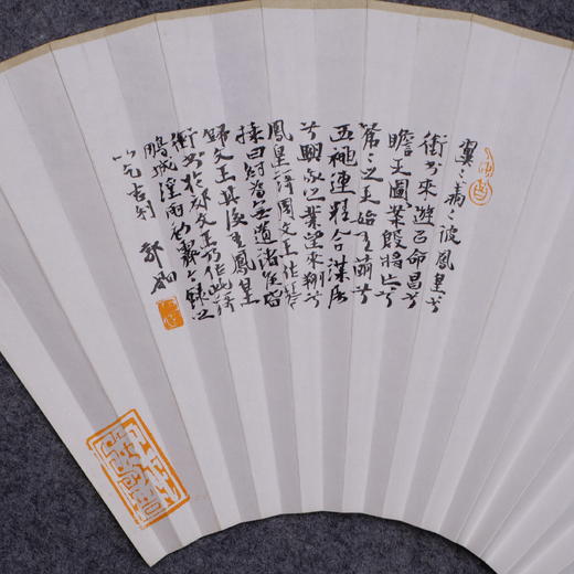 郭晶《晴窗-吉庆有余》26x52CM 手写纸本扇面题跋[双面] 商品图3