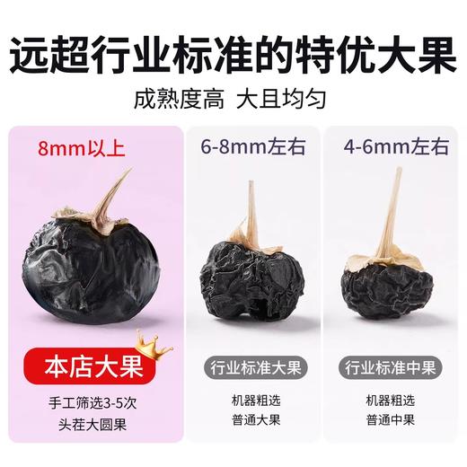 正宗宁夏头茬黑枸杞250g 成熟度高 颗颗轻盈饱满 商品图4