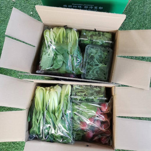 【京津冀包邮】蔬菜组合8-10斤左右，内含6-8种蔬菜，蔬菜种类随机，不可指定，介意者慎拍 商品图1