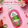 Frosch 福纳丝环保石榴果洁净洗衣液1.5l 商品缩略图2