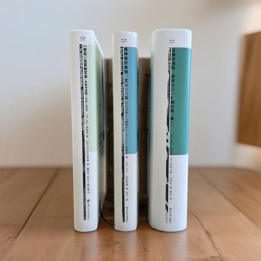 反俄狄浦斯+<荒岛>及其他文本+两种疯狂体制 德勒兹作品 商品图1