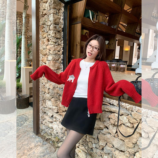 <曾小咸推荐>现货秒杀 ！微信超特价！2色复古卡通绣花毛衣 日常199.99 立减100 秒杀99.99！！ 商品图12