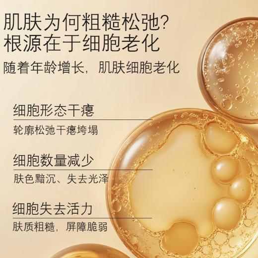 【保税仓】雅诗兰黛白金水200ML 商品图1