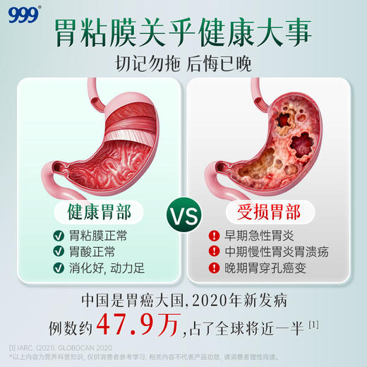 【618会员提前购】999护养肝片护胃肝胃同调葛根党参红景天片男女养肝护胃送父母 商品图3