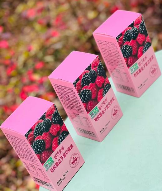 莓日素养有机覆盆子复合原浆!主打有机原料，100%原浆，健康营养满分，富含维生素C成分。独立小盒设计，随身携带超方便，健康生活get! 商品图4