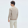 【门店同款&含绵羊毛】圣得西男款2025年冬季毛衫圆领休闲针织衫 商品缩略图3