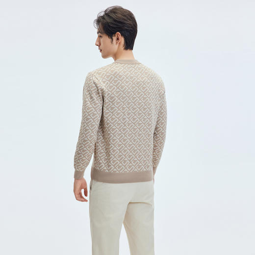 【门店同款&含绵羊毛】圣得西男款2025年冬季毛衫圆领休闲针织衫 商品图3