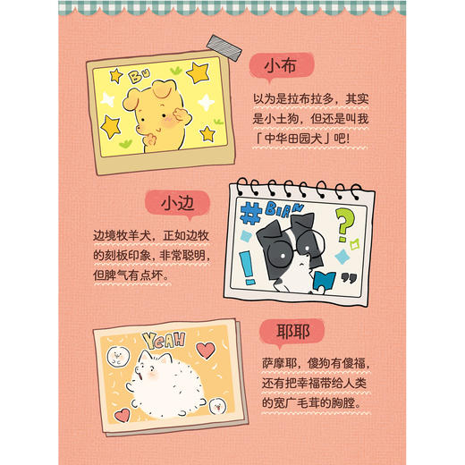 【预售】阿乔WOOF：如果狗狗会说话（随书赠品：书签3张）聪明（有点坏）、善良（有点笨）、勇敢又可爱的狗生大冒险！ 商品图3