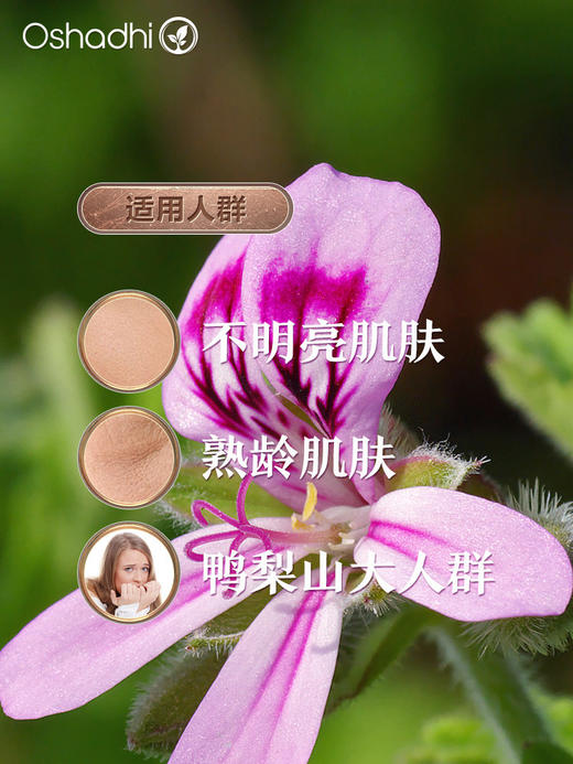 德国O家玫瑰天竺葵单方精油 香薰 稀释做面部精华 身体按摩油 商品图1