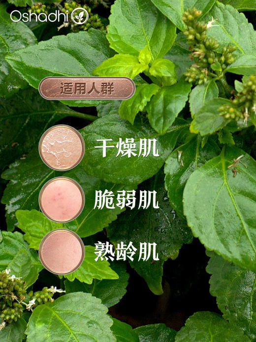 德国O家广藿香单方精油 香薰精油 稀释做面部精华 身体按摩油 商品图1