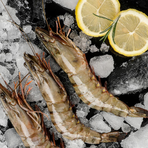 2026澳享新春环球甄选海鲜盛宴 1298型 6100g【实物/卡券】 商品图8