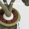 logaloga/B6003/鳟鱼海棠盆栽 商品缩略图2