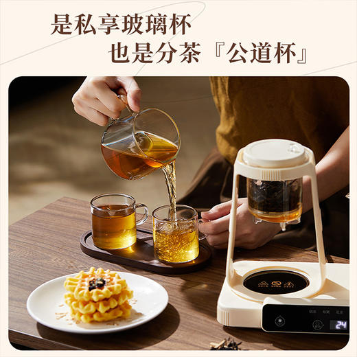 艾贝丽双杯养生壶ABL-YSH624 商品图6