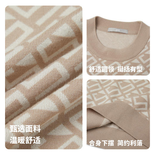 【门店同款&含绵羊毛】圣得西男款2025年冬季毛衫圆领休闲针织衫 商品图4