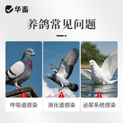 华畜氧氟沙星溶液鸽用呼吸道泌尿感染水便呼噜抗菌拉稀水便鸽药 商品图1