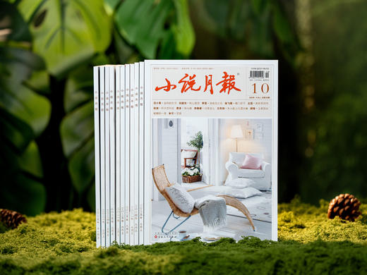 《小说月报》2026全年订阅 | 全年12期，中国影视灵感源头、故事富矿，莫言、余华、苏童的成名起点 ，提升语言质感、思维深度和审美格局，一整年的高品质滋养 商品图7