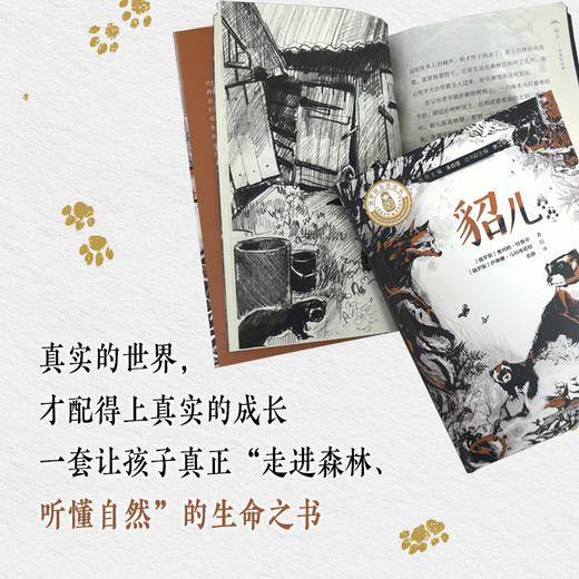 特鲁申·北境森林奇旅系列（3册） 商品图4