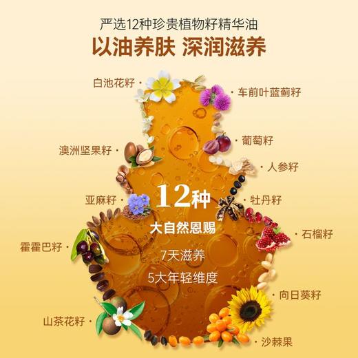 272012可贝尔十二籽滋养藏金油 商品图4